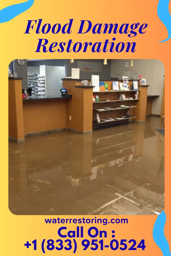 Flood Damage Restoration in Gramercy, LA
