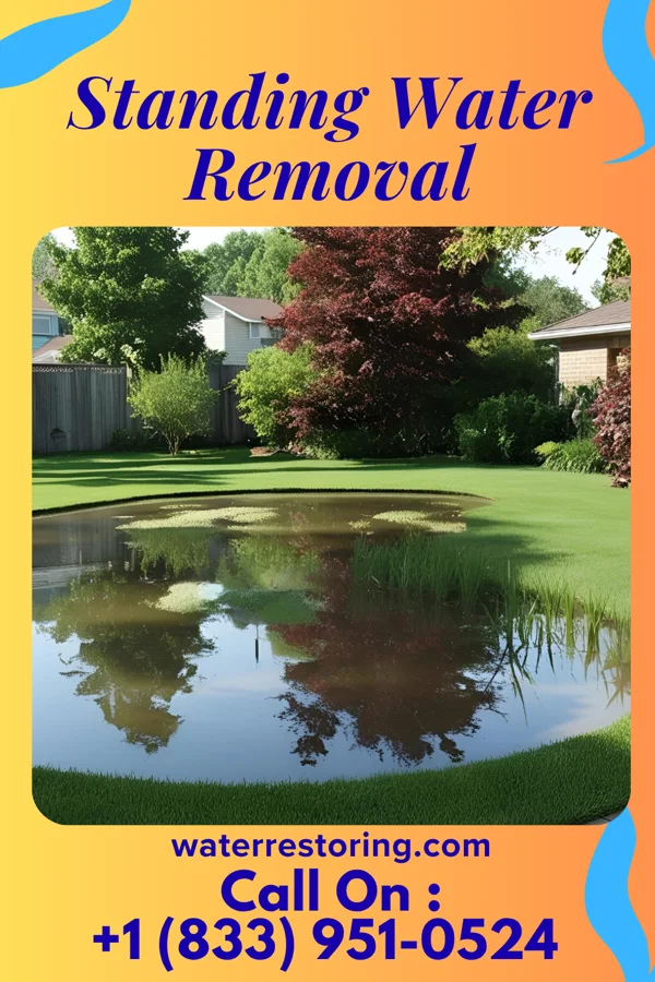 Standing Water Removal in Gramercy, LA
